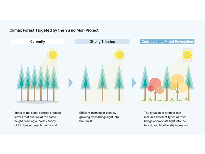 The climax forest that "Yū no Mori" aims for