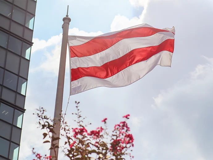 Nibiki-Kai Flag