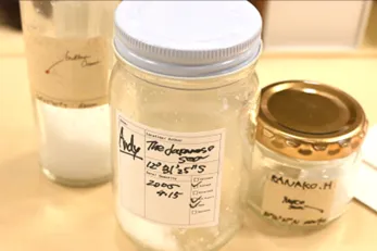 Final report on joint research project, NYK Tokyo office, September 26