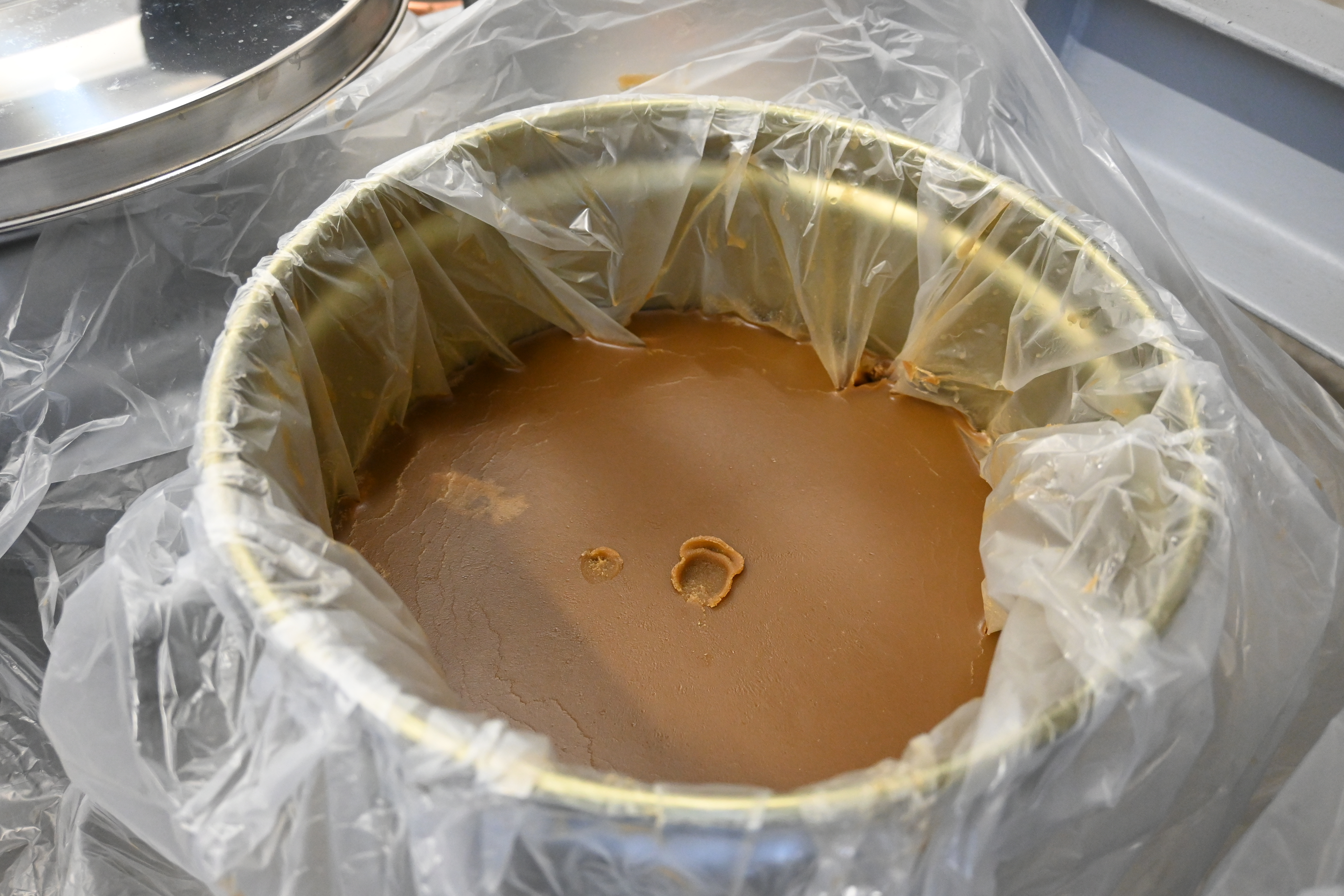 Bio-residue solidified at low temperature, being tested using the test engine