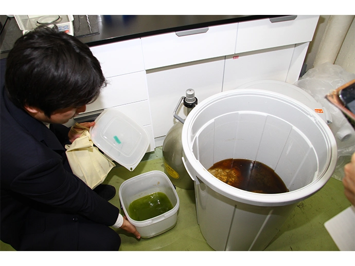 岩崎先生の研究室にて。プラスチックのバケツに保管されている海洋生物のサンプル