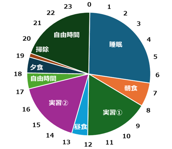 実習生のスケジュール